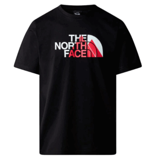 REMERA THE NORTH FACE M BINER GRAPHIC 1