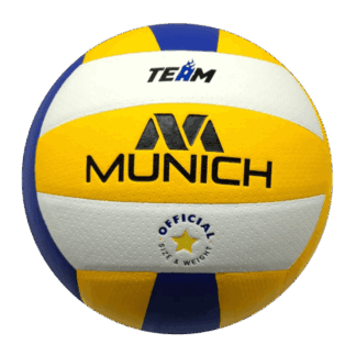 PELOTA DE VOLLEY TEAM 025 T5