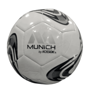 PELOTA FIJI FUTSAL 230 T4