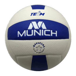PELOTA VOLLEY TEAM T5