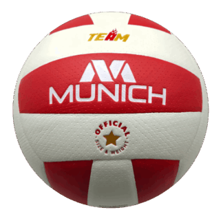 PELOTA VOLLEY TEAM T5