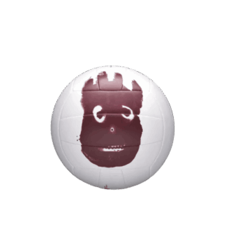 PELOTA DE VOLLEY CASTAWAY DEFL VB