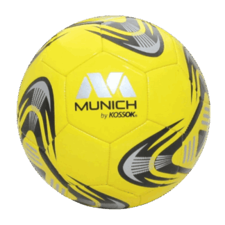 PELOTA FIJI FUTSAL 125 T4