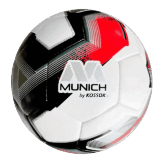 PELOTA DE FUTBOL N5 CARDIFF