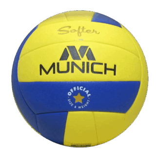 PELOTA VOLLEY WORLDTOUR 012 T5
