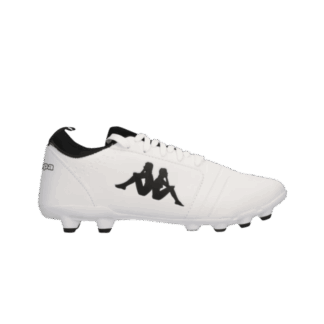 BOTIN FG F11 VENZONE