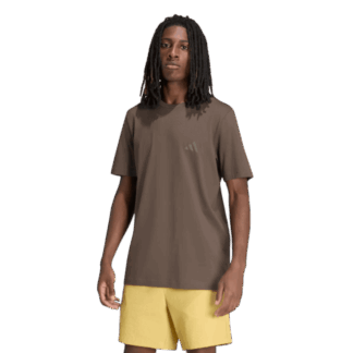 REMERA M TERREX GRAPHIC