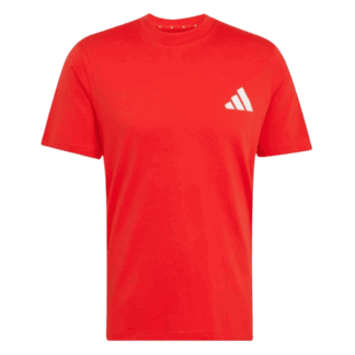 REMERA RIVER PLATE SZN GR