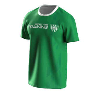CAMISETA DESAMPARADOS ENTRENAMIENTO VERDE