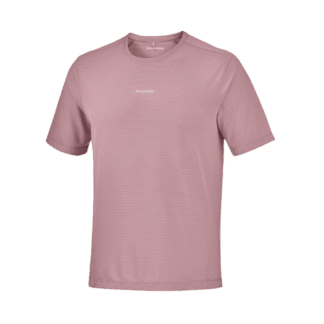 REMERA SALOMON SHKOUT CORE SS TEE MEN
