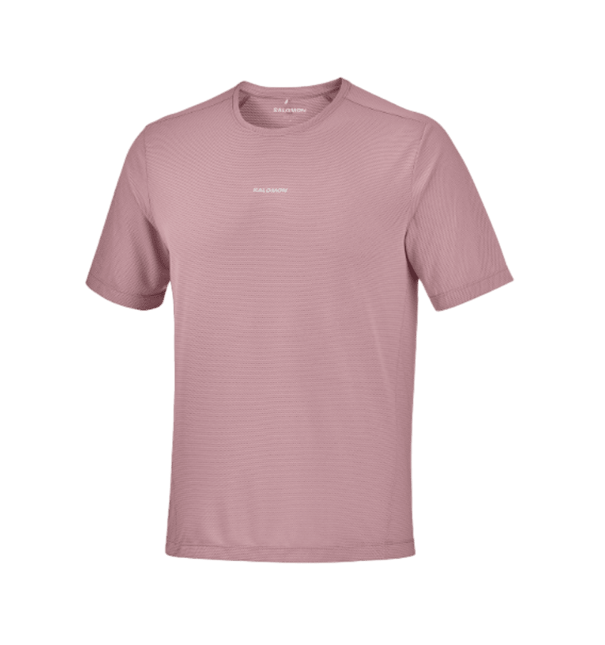 REMERA SALOMON SHKOUT CORE SS TEE MEN